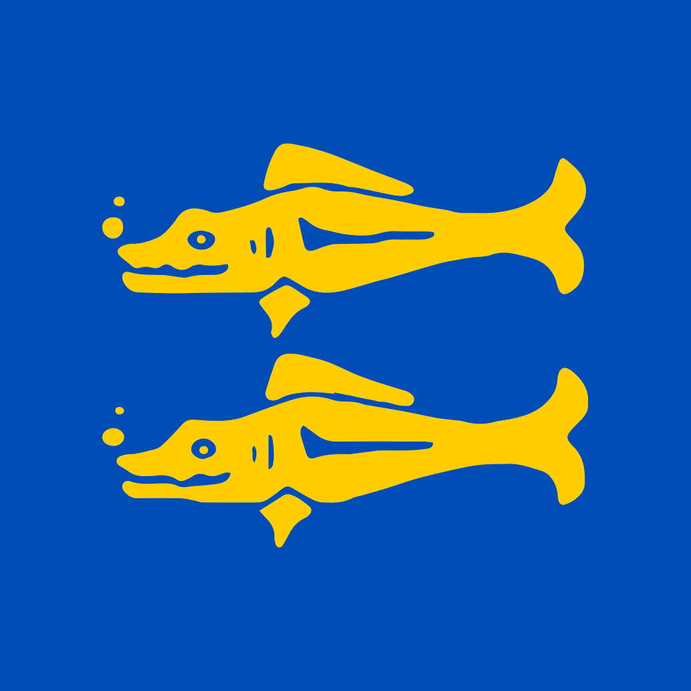 Blue Barracudas