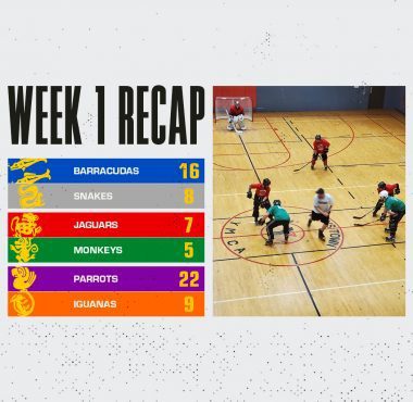 Recap Week 1 - Winter 2020