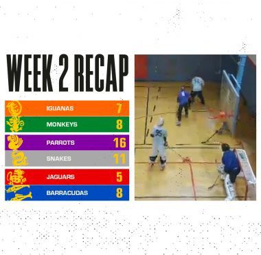 Winter 2020 - Week 2 Recap