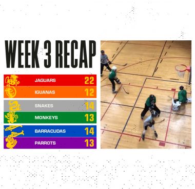 Week 3 - Winter 2020 Recap